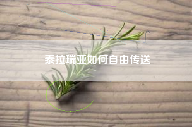 泰拉瑞亚如何自由传送