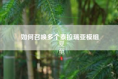 如何召唤多个泰拉瑞亚模组