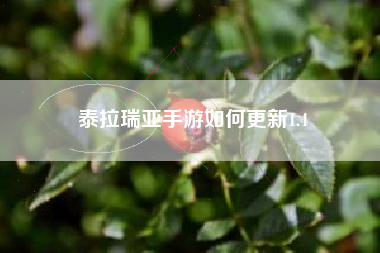 泰拉瑞亚手游如何更新1.4