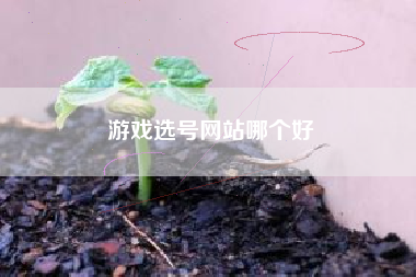 游戏选号网站哪个好