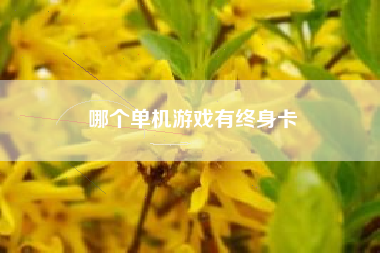 哪个单机游戏有终身卡