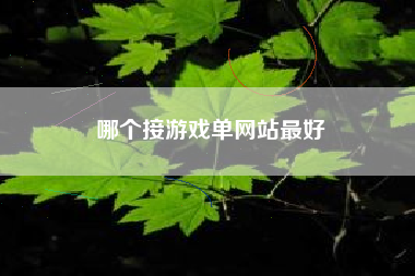 哪个接游戏单网站最好