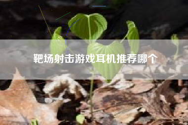 靶场射击游戏耳机推荐哪个