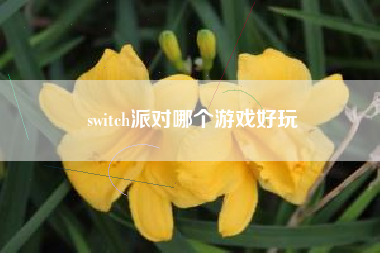 switch派对哪个游戏好玩