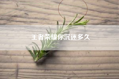 王者荣耀你沉迷多久