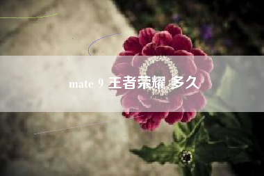 mate 9 王者荣耀 多久