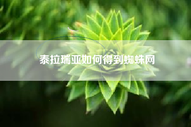 泰拉瑞亚如何得到蜘蛛网