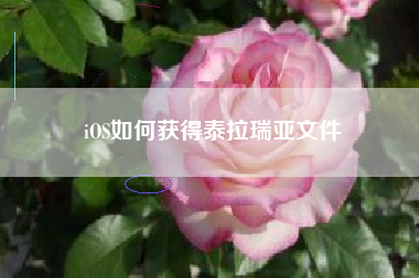 iOS如何获得泰拉瑞亚文件