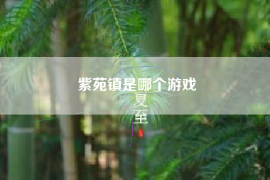 紫苑镇是哪个游戏