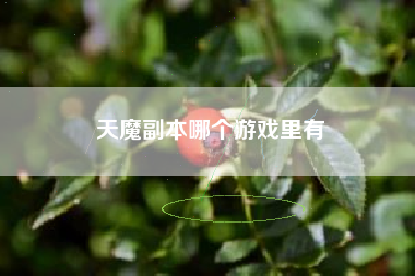 天魔副本哪个游戏里有