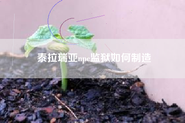 泰拉瑞亚npc监狱如何制造