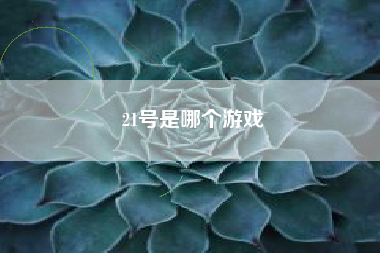 21号是哪个游戏