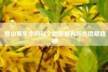 登山赛车中的每个地图都有哪些隐藏路径