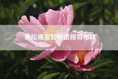 泰拉瑞亚如何出现哥布林