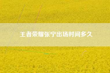 王者荣耀张宁出场时间多久