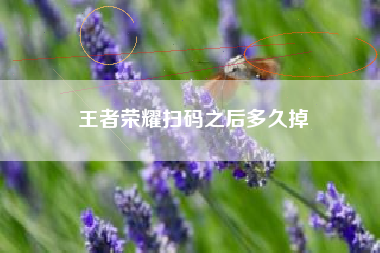 王者荣耀扫码之后多久掉