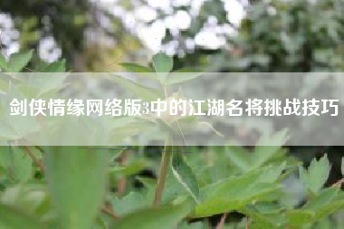 剑侠情缘网络版3中的江湖名将挑战技巧