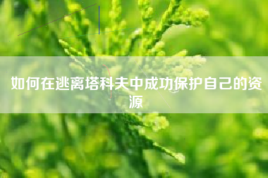 如何在逃离塔科夫中成功保护自己的资源