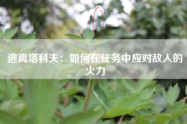 逃离塔科夫：如何在任务中应对敌人的火力