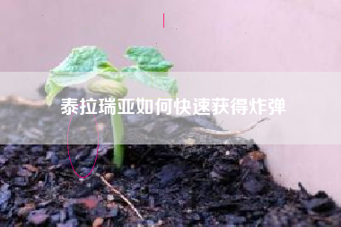 泰拉瑞亚如何快速获得炸弹