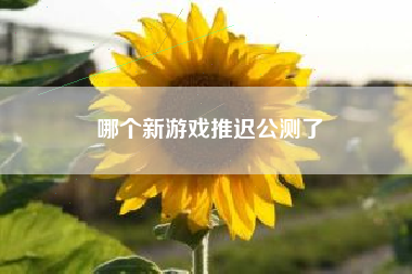 哪个新游戏推迟公测了