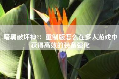 暗黑破坏神2：重制版怎么在多人游戏中获得高效的装备强化