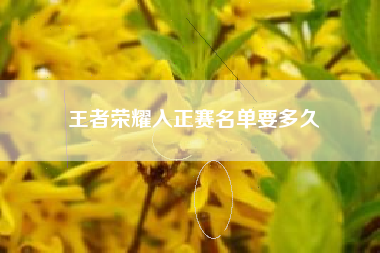 王者荣耀入正赛名单要多久