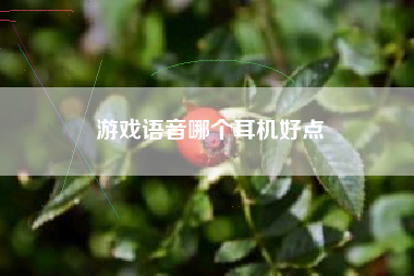 游戏语音哪个耳机好点