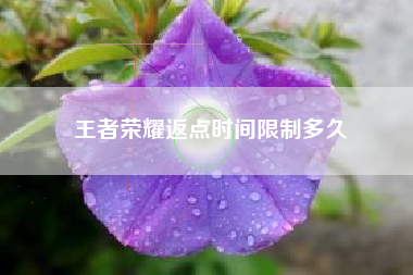 王者荣耀返点时间限制多久