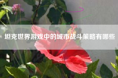 坦克世界游戏中的城市战斗策略有哪些