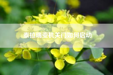 泰拉瑞亚机关门如何启动