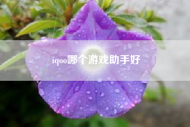 iqoo哪个游戏助手好