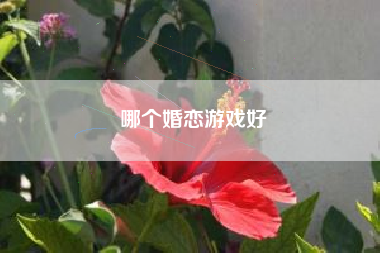 哪个婚恋游戏好