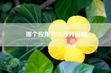 哪个应用可以秒开游戏