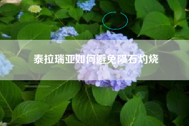 泰拉瑞亚如何避免陨石灼烧