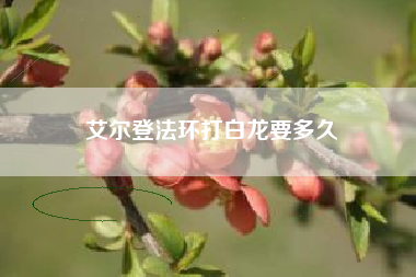 艾尔登法环打白龙要多久