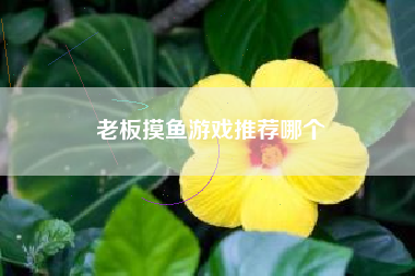 老板摸鱼游戏推荐哪个