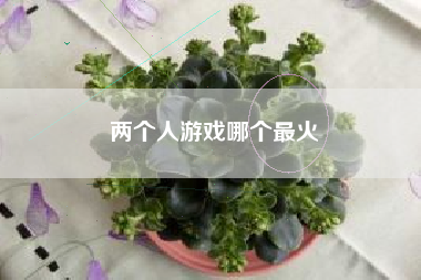 两个人游戏哪个最火