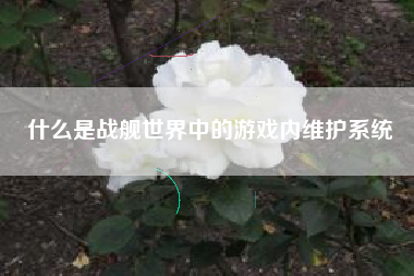 什么是战舰世界中的游戏内维护系统