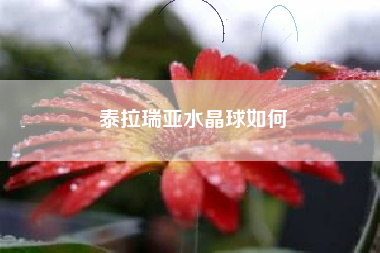 泰拉瑞亚水晶球如何