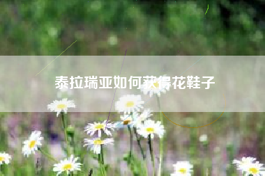 泰拉瑞亚如何获得花鞋子