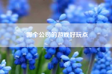 哪个公司的游戏好玩点