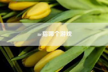 nc指哪个游戏