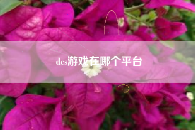 dcs游戏在哪个平台