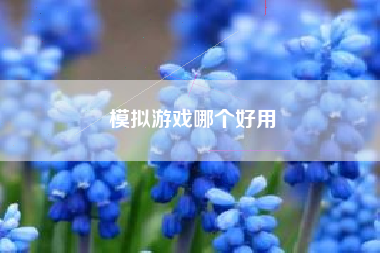 模拟游戏哪个好用