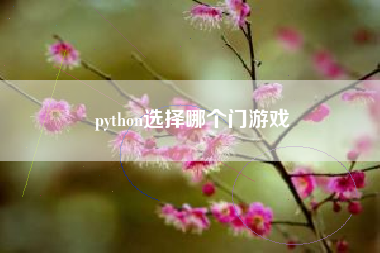 python选择哪个门游戏