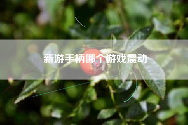 新游手柄哪个游戏震动