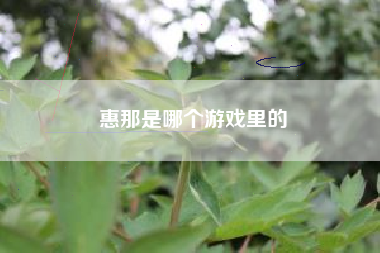 惠那是哪个游戏里的