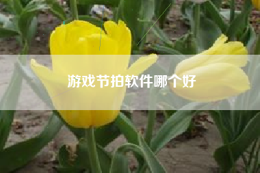 游戏节拍软件哪个好