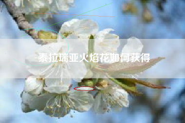 泰拉瑞亚火焰花如何获得